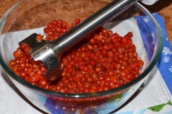 Калина протертая с сахаром на зиму без варки - шаг 3 Калина протертая с сахаром на зиму без варки - шаг 3