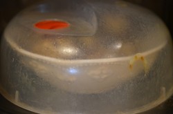 Картошка в мундире в микроволновке - шаг 5