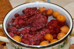 Кисель фруктовый - шаг 2 Кисель фруктовый - шаг 2