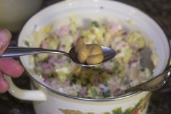 Классическая окрошка на квасе - шаг 13