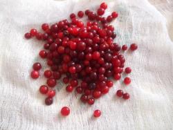 Клюквенный мусс - шаг 3