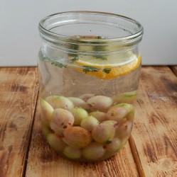 Компот из крыжовника мохито на зиму - шаг 7 Компот из крыжовника мохито на зиму - шаг 7