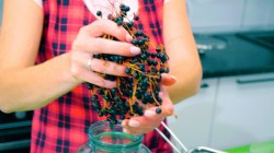 Компот из свежей ягоды черёмухи в банках на зиму - шаг 4 Компот из свежей ягоды черёмухи в банках на зиму - шаг 4