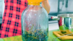 Компот из свежей ягоды черёмухи в банках на зиму - шаг 6 Компот из свежей ягоды черёмухи в банках на зиму - шаг 6