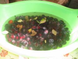 Компот зимний сливовый - шаг 2 Компот зимний сливовый - шаг 2