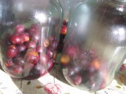 Компот зимний сливовый - шаг 3 Компот зимний сливовый - шаг 3