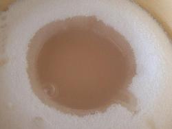 Консервированные персики в белом вине - шаг 5 Консервированные персики в белом вине - шаг 5