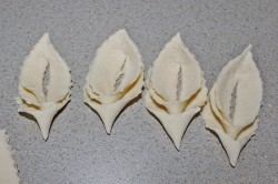 Крымская пахлава пляжная медовая - хворост - шаг 10