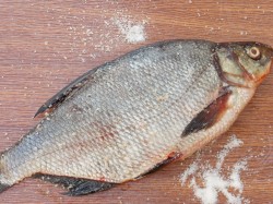 Лещ горячего копчения в домашних условиях - шаг 2 Лещ горячего копчения в домашних условиях - шаг 2