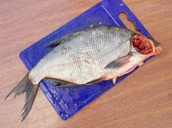 Лещ горячего копчения в домашних условиях - шаг 3 Лещ горячего копчения в домашних условиях - шаг 3