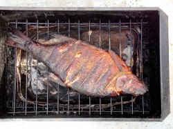 Лещ горячего копчения в домашних условиях - шаг 9 Лещ горячего копчения в домашних условиях - шаг 9