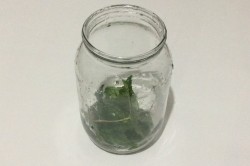 Ликер из черной смородины - шаг 3