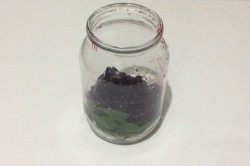 Ликер из черной смородины - шаг 4