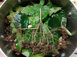 Малосольные огурцы в кастрюле холодным способом - шаг 6 Малосольные огурцы в кастрюле холодным способом - шаг 6