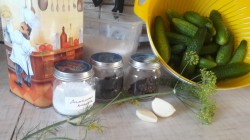 Маринованные огурцы в банках с гвоздикой - шаг 1 Маринованные огурцы в банках с гвоздикой - шаг 1