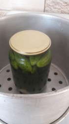 Маринованные огурцы в банках с гвоздикой - шаг 5 Маринованные огурцы в банках с гвоздикой - шаг 5