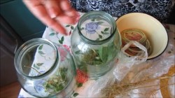 Маринованные помидоры со сливами и базиликом на зиму - шаг 2 Маринованные помидоры со сливами и базиликом на зиму - шаг 2