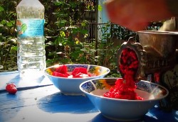 Маринованный хрен на зиму - шаг 3