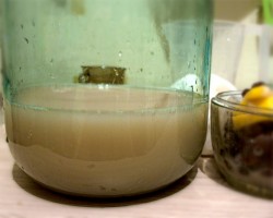 Домашний медовый квас квас из ржаной муки - шаг 6