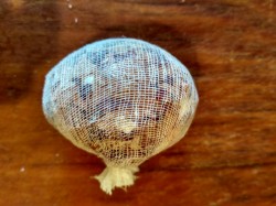 Мраморные яйца к Пасхе - шаг 7