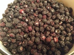 Мусс из ежевики - шаг 3