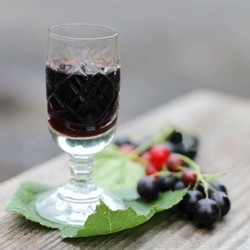 Настойка из черной смородины на водке