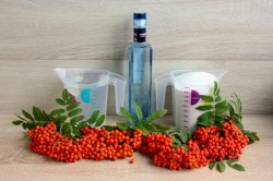 Настойка из красной рябины в домашних условиях на водке - шаг 1 Настойка из красной рябины в домашних условиях на водке - шаг 1