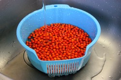 Настойка из красной рябины в домашних условиях на водке - шаг 3 Настойка из красной рябины в домашних условиях на водке - шаг 3