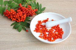 Настойка из красной рябины в домашних условиях на водке - шаг 5 Настойка из красной рябины в домашних условиях на водке - шаг 5