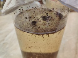 Настойка Келгановка на самогоне - шаг 5 Настойка Келгановка на самогоне - шаг 5