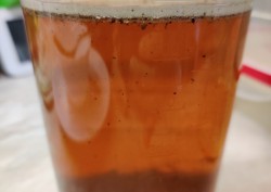 Настойка Келгановка на самогоне - шаг 6 Настойка Келгановка на самогоне - шаг 6