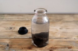 Настойка на черносливе на самогоне в домашних условиях - шаг 3 Настойка на черносливе на самогоне в домашних условиях - шаг 3