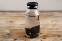 Настойка на черносливе на самогоне в домашних условиях - шаг 4 Настойка на черносливе на самогоне в домашних условиях - шаг 4