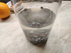 Настойка на изюме на самогоне - шаг 3 Настойка на изюме на самогоне - шаг 3