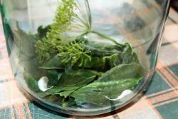 Домашние соленые огурцы хрустящие в банках на зиму - шаг 4