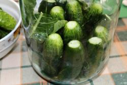 Домашние соленые огурцы хрустящие в банках на зиму - шаг 5