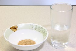 Пышное тесто для пирожков на опаре в духовке универсальное - шаг 6 Пышное тесто для пирожков на опаре в духовке универсальное - шаг 6