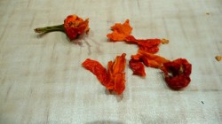 Баклажаны в духовке с болгарским перцем, куркумой и специями - шаг 8 Баклажаны в духовке с болгарским перцем, куркумой и специями - шаг 8