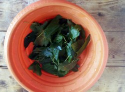 Помидоры соленые в банке как бочковые - шаг 2 Помидоры соленые в банке как бочковые - шаг 2