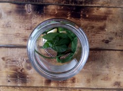 Помидоры соленые в банке как бочковые - шаг 4 Помидоры соленые в банке как бочковые - шаг 4