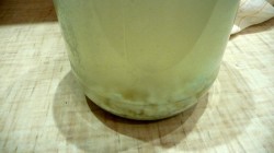 Рисовый квас - шаг 4 Рисовый квас - шаг 4