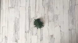 Рулетики из слоеного теста с сыром - шаг 4