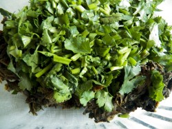 Салат из авелука - шаг 11