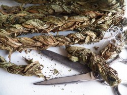 Салат из авелука - шаг 2