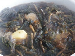 Салат из авелука - шаг 6