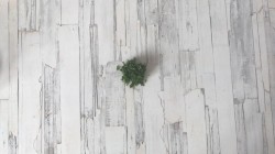 Салат из жареной индейки с фруктами - шаг 6