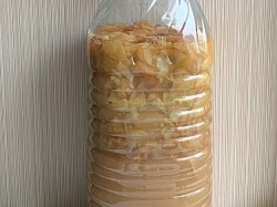 Самогон из яблочного жмыха - шаг 6 Самогон из яблочного жмыха - шаг 6