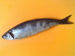 Селедка с луком и уксусом маринованная - шаг 1