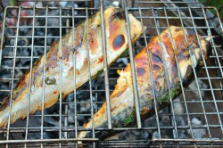 Шашлык из скумбрии на решетке на мангале - шаг 11