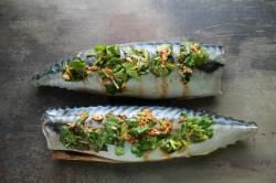 Шашлык из скумбрии на решетке на мангале - шаг 6